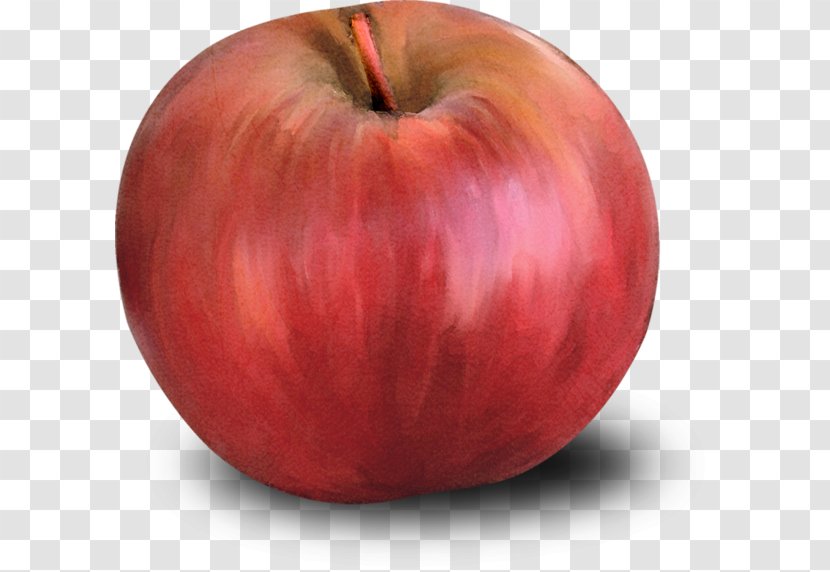 Apple - Gratis - Hand-painted Red Transparent PNG