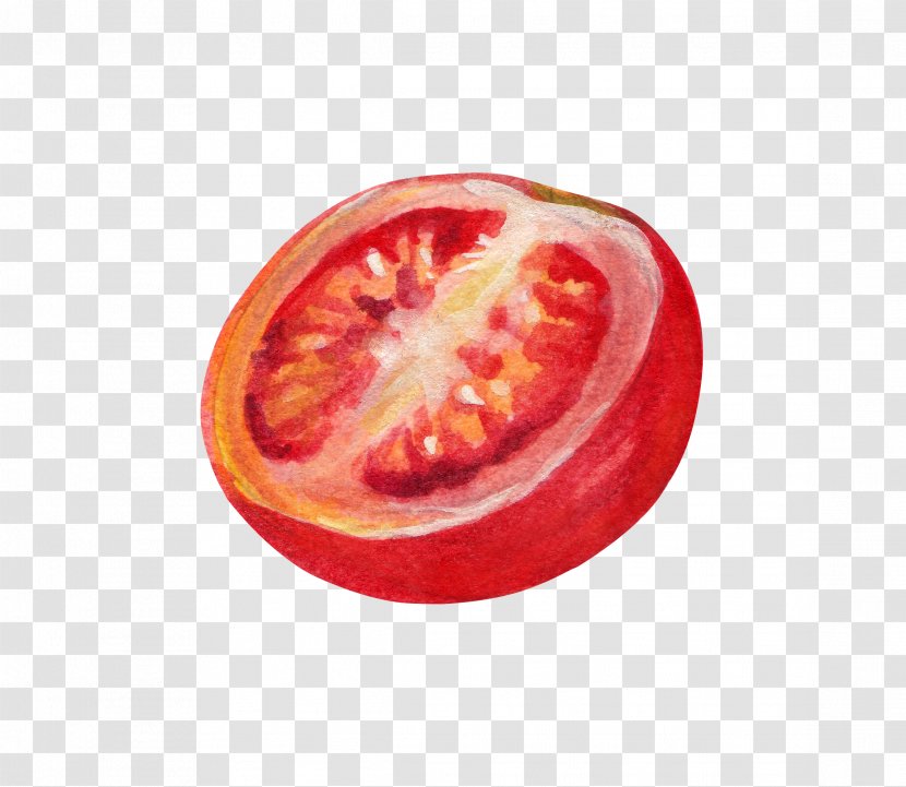 Vegetable Cherry Tomato Strawberry Watercolor Painting Illustration - Melon - Cut The Tomatoes Transparent PNG