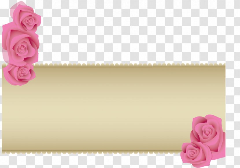 Garden Roses Rosaceae Petal Flower - Pink - Wedding Anniversary Transparent PNG