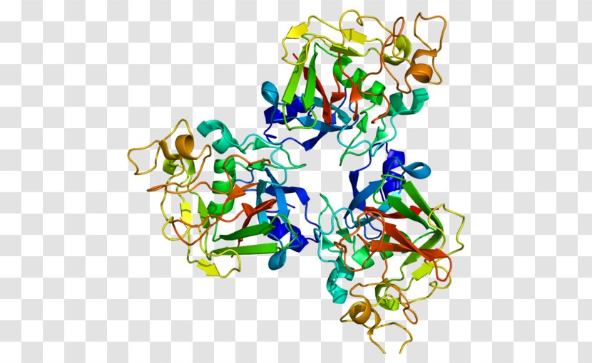 FCN1 Fibrinogen Protein Ficolin Single-nucleotide Polymorphism - Heart - Watercolor Transparent PNG