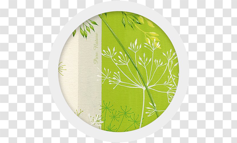 Leaf - Green - Tree Transparent PNG