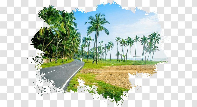 Alappuzha Desktop Wallpaper Nature Package Tour - Arts Of Kerala - Tourism Transparent PNG