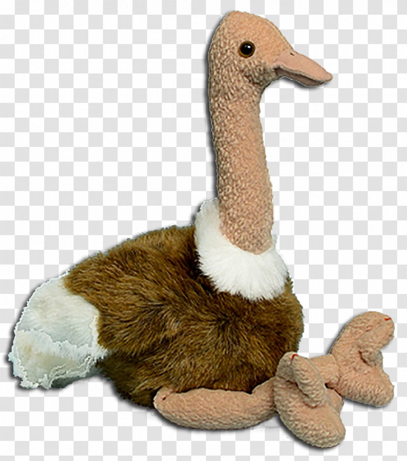Duck Bird Stuffed Animals & Cuddly Toys Common Ostrich Ty Inc. - Toy Transparent PNG