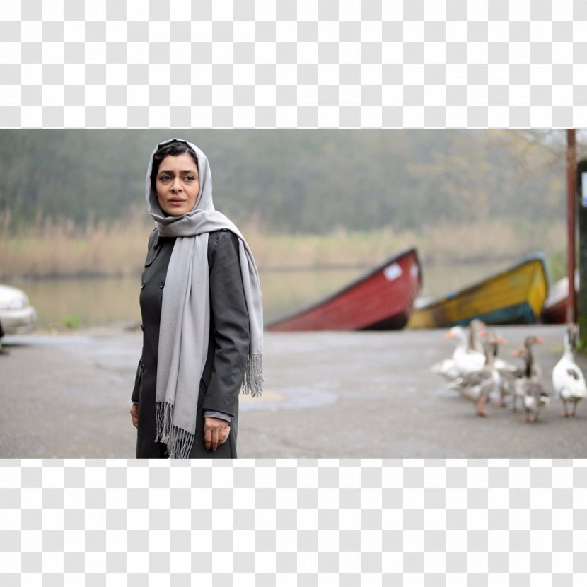 Iran Stock Photography Film Director - Separation - Nahid Transparent PNG
