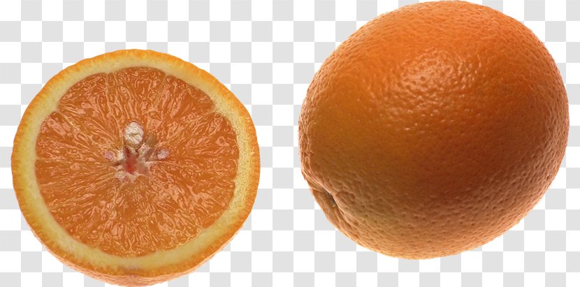 Blood Orange Tangerine Tangelo Clementine - Peel Transparent PNG