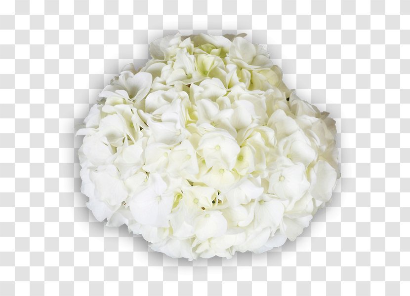 Hydrangea Floral Design Cut Flowers Flower Bouquet - Floristry Transparent PNG