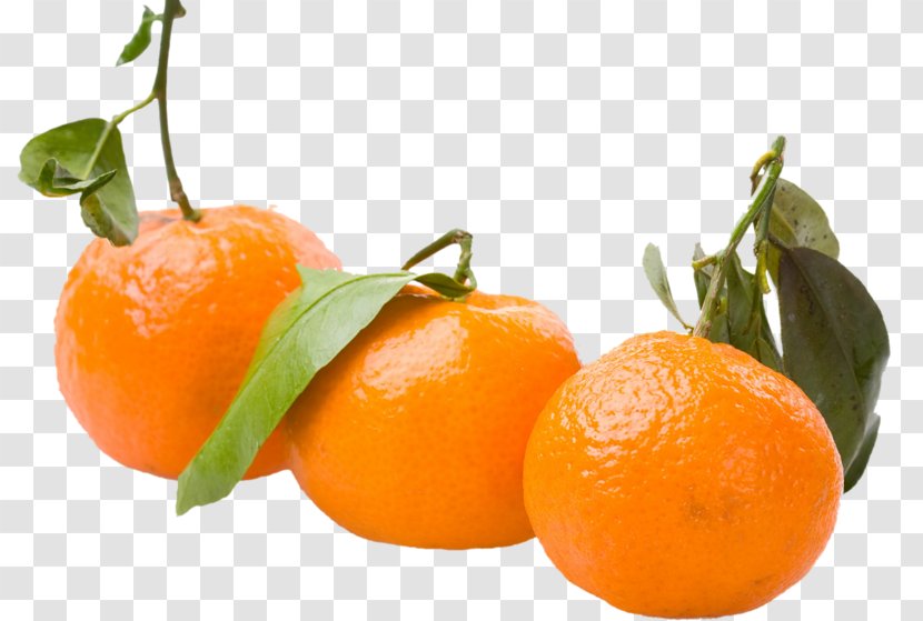 Clementine Mandarin Orange Tangerine Tangelo Rangpur Transparent PNG