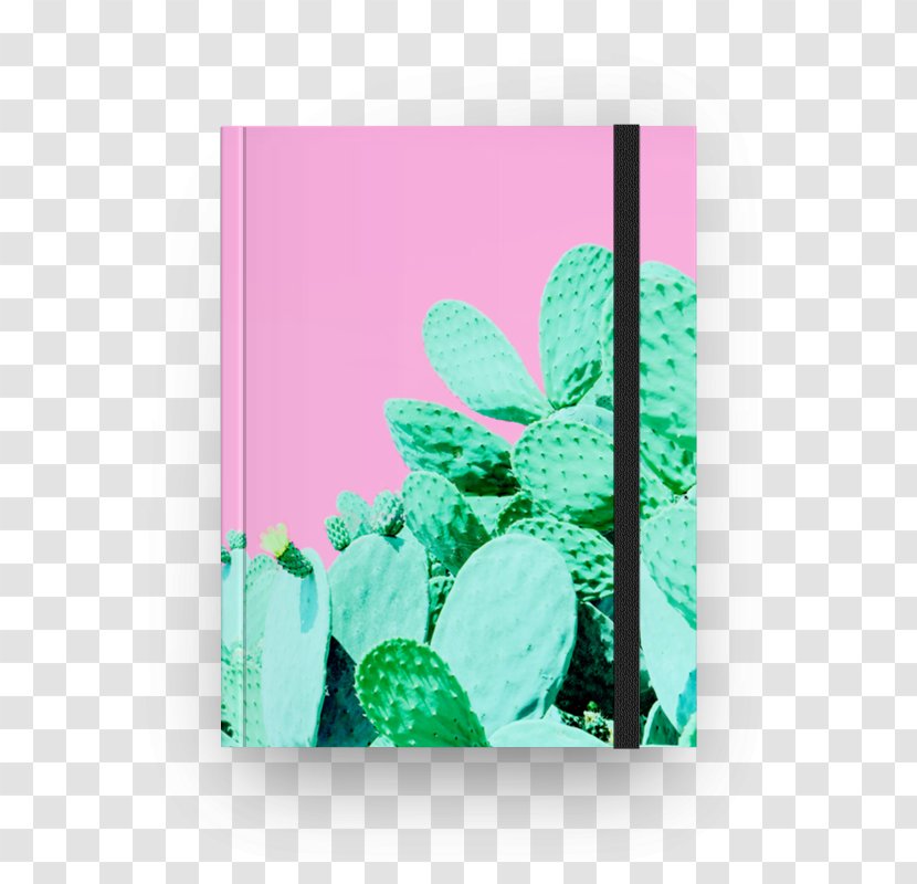 Paper Cactaceae Towel Cactus Garden Desert - Cotton Transparent PNG
