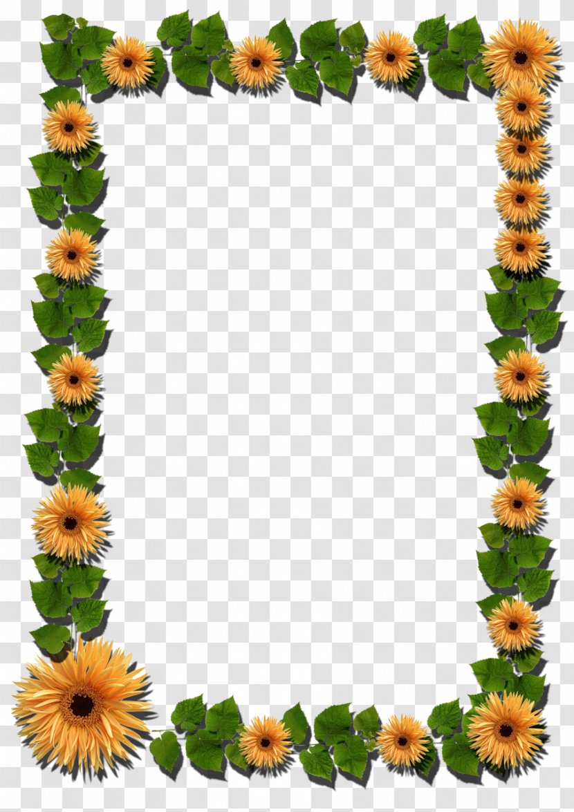 Picture Frames Photography Flower - Mimosa Transparent PNG