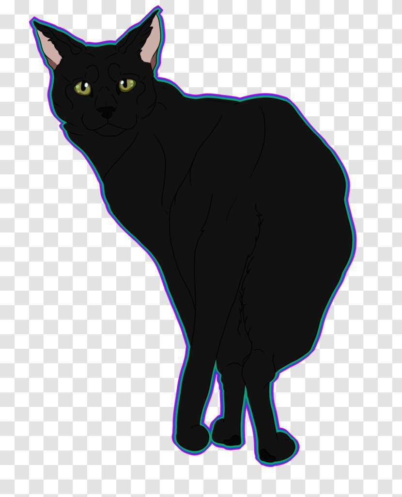 Bombay Cat Manx Korat Whiskers Domestic Short-haired - Small To Medium Sized Cats - Dutch Shepherd Transparent PNG
