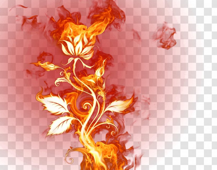 Flame Fire Download - Petal - Effects Flower Vine Transparent PNG