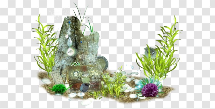 Sea Underwater Clip Art - Aquarium Decor Transparent PNG
