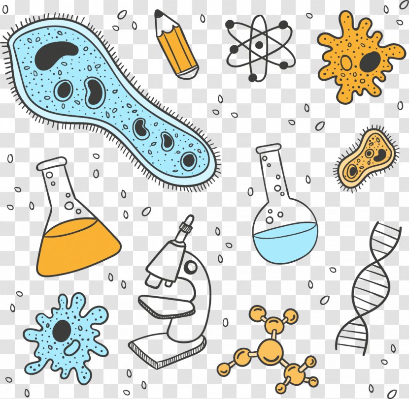 Biology Science Laboratory Chemistry - Organism - Vector Hand-drawn Chemical Elements Transparent PNG