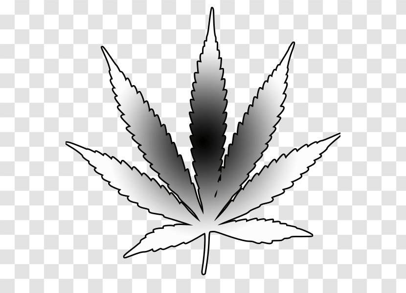 Medical Cannabis Drawing Leaf - Stencil - Weed Transparent PNG