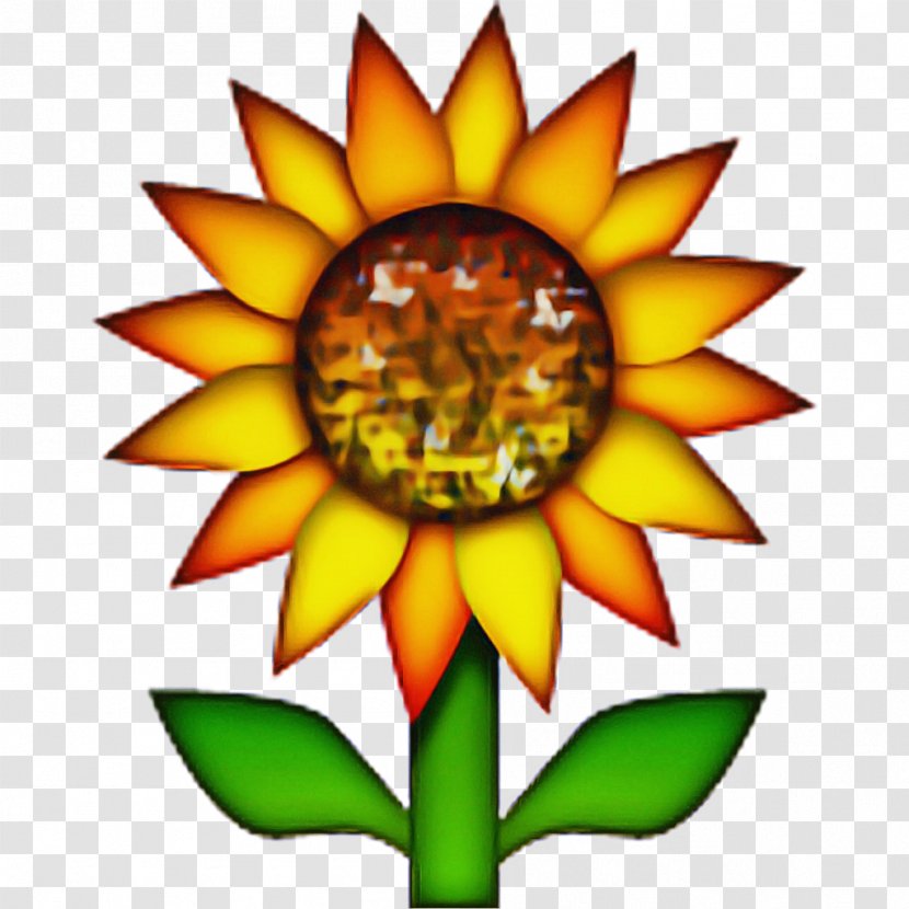 Flower Emoji - Sunflower - Symmetry Wildflower Transparent PNG