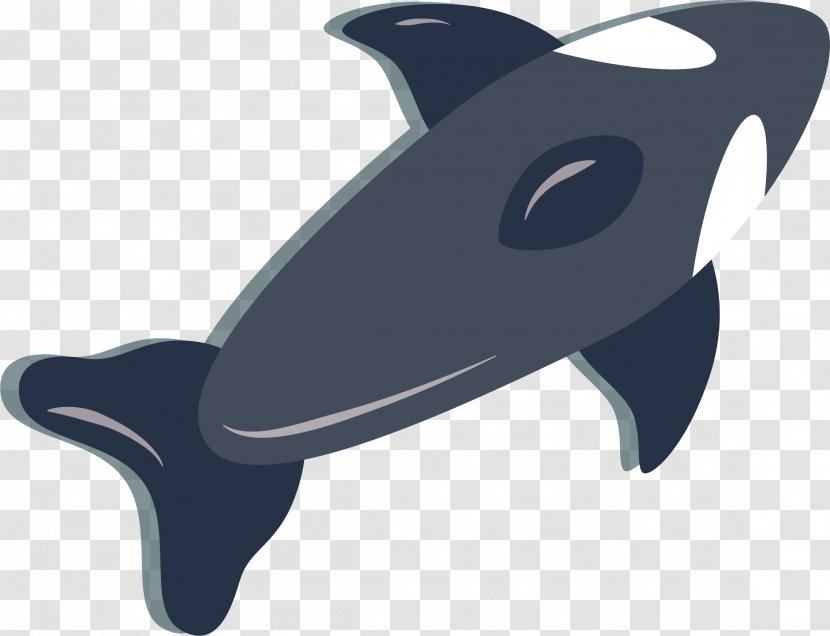 Chilean Dolphin Clip Art - Whales Dolphins And Porpoises - Blue Vector Transparent PNG