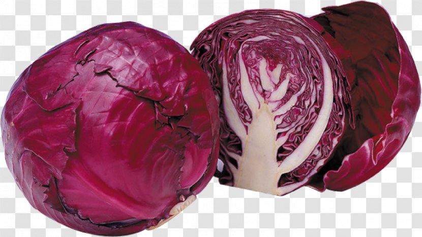 Red Cabbage Broccoli Brussels Sprout Chinese Cuisine - Vegetable - Purple Transparent PNG