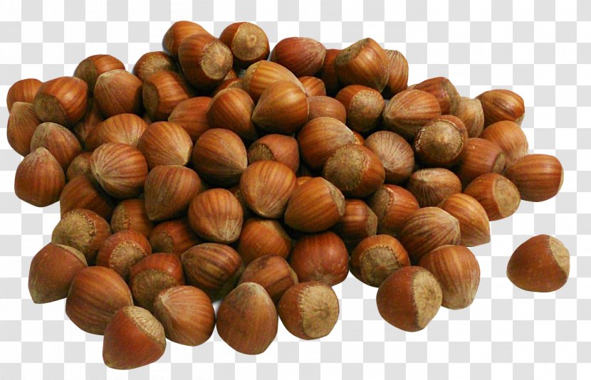 Hazelnut Denominacixf3n De Origen Nutella - Dried Fruit Transparent PNG