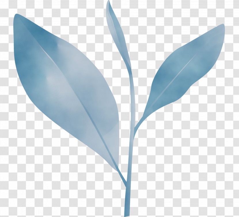 Feather Transparent PNG