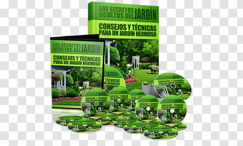 Garden Landscaping House Lawn - Room Transparent PNG