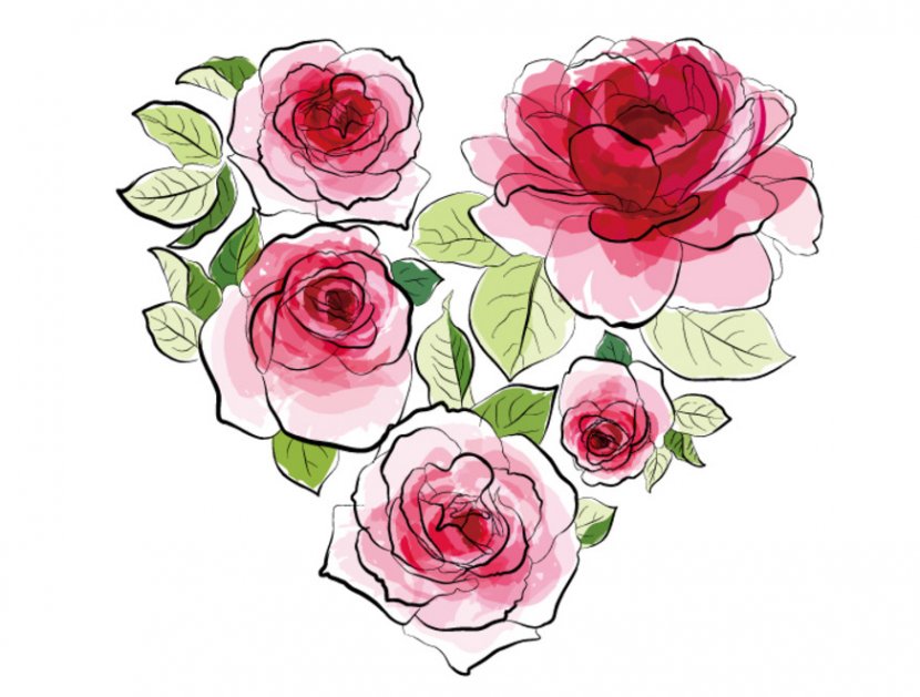 Watercolor Painting Drawing Rose - Petal Transparent PNG