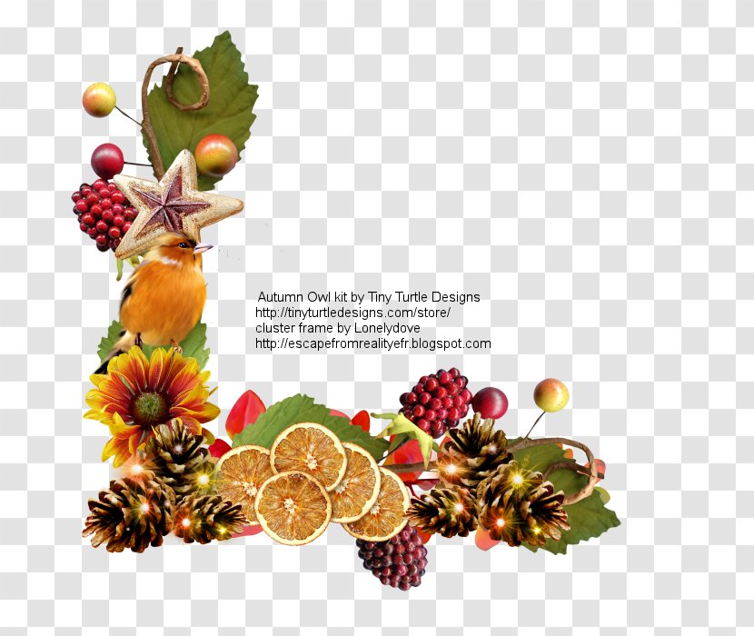 Christmas Ornament Superfood Day Fruit - Tree Transparent PNG