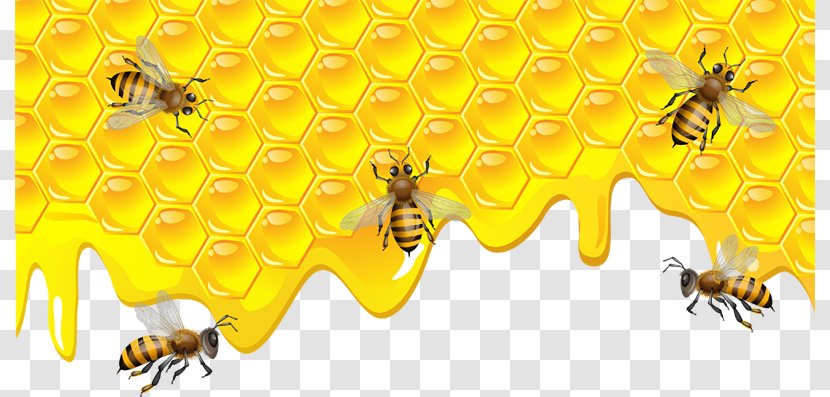 Bee Torte Honeycomb Clip Art - Arthropod Transparent PNG