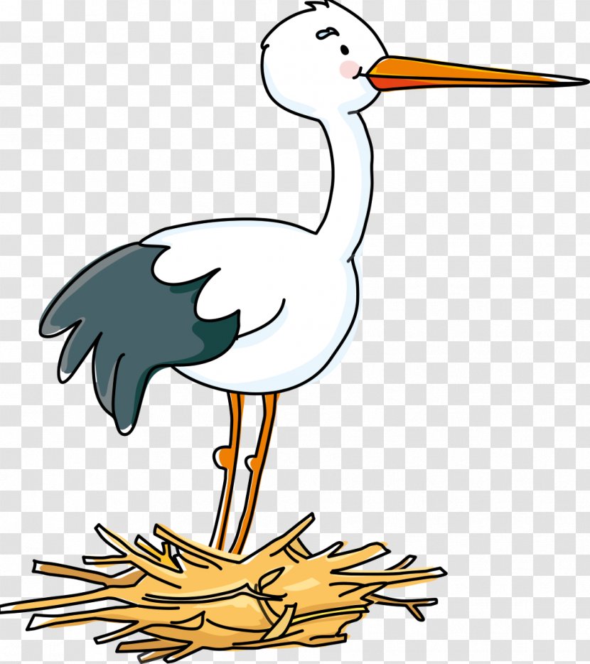 Stork Bird Drawing Child Nest - Wing Transparent PNG