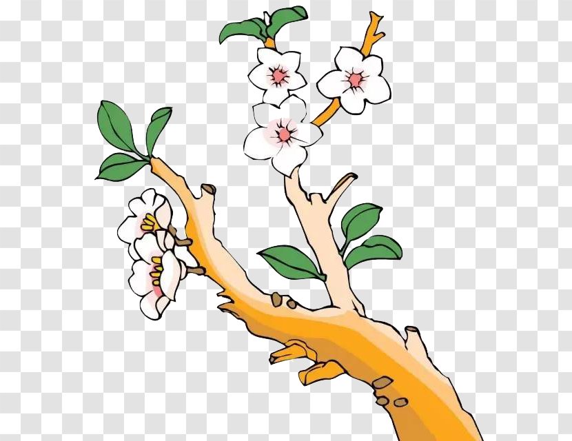Blossoming Pear Tree Painting Illustration - Plant - Flowering Design Vector Transparent PNG