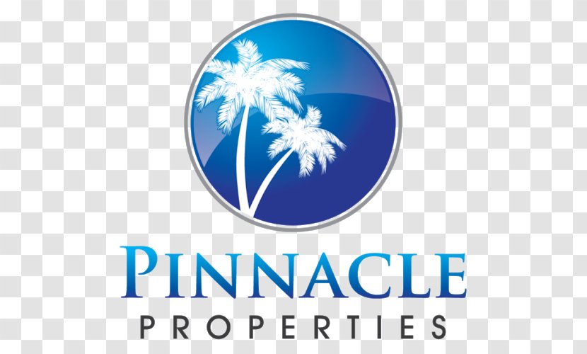 Pinnacle Car Care Inc Investment Money Service Mortgage Loan Transparent PNG