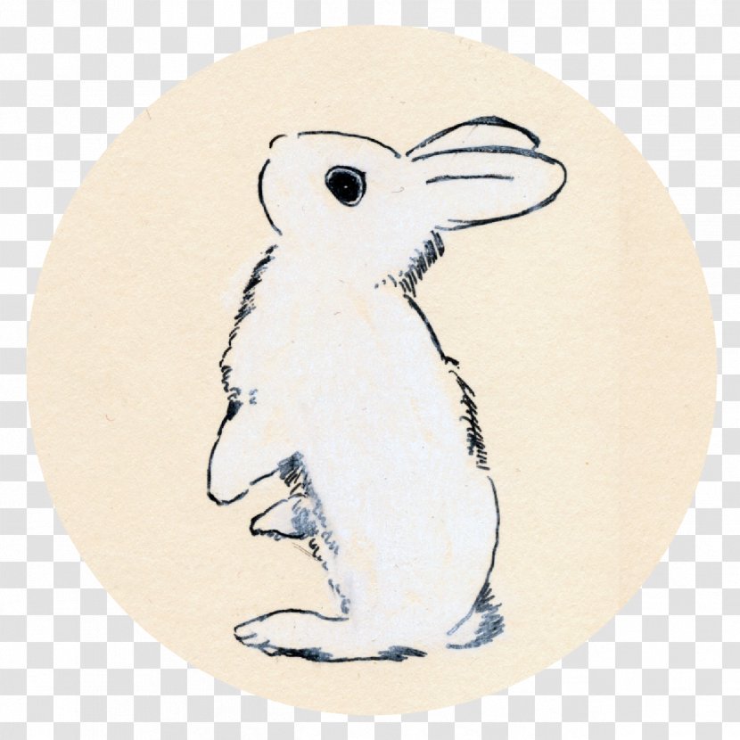 Rabbit Cartoon - Rabbits And Hares - Plate Transparent PNG