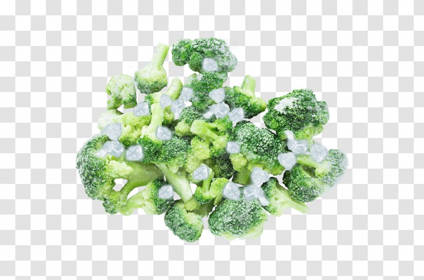 Broccoli - Cruciferous Vegetables Transparent PNG