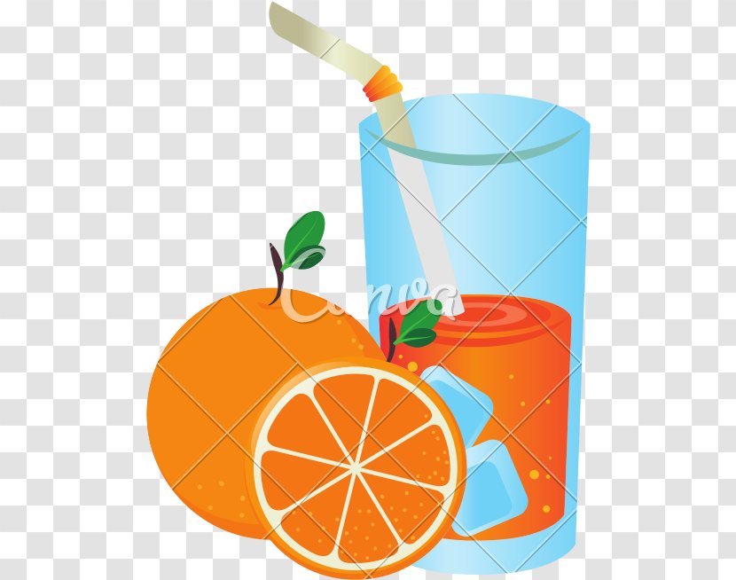 Orange Juice Fruit Illustration - Food - Drinking Summer Cartoon Transparent PNG