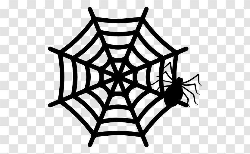 Spider Web - Plant Transparent PNG
