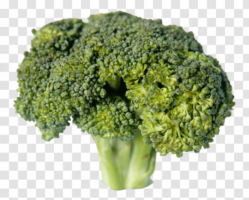 Broccoli Vegetarian Cuisine Vegetable Food Transparent PNG