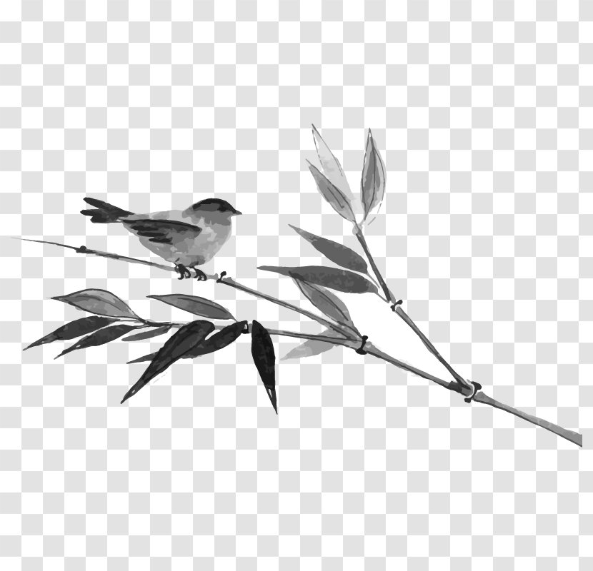 Ink Bamboo Bird - Monochrome Photography Transparent PNG