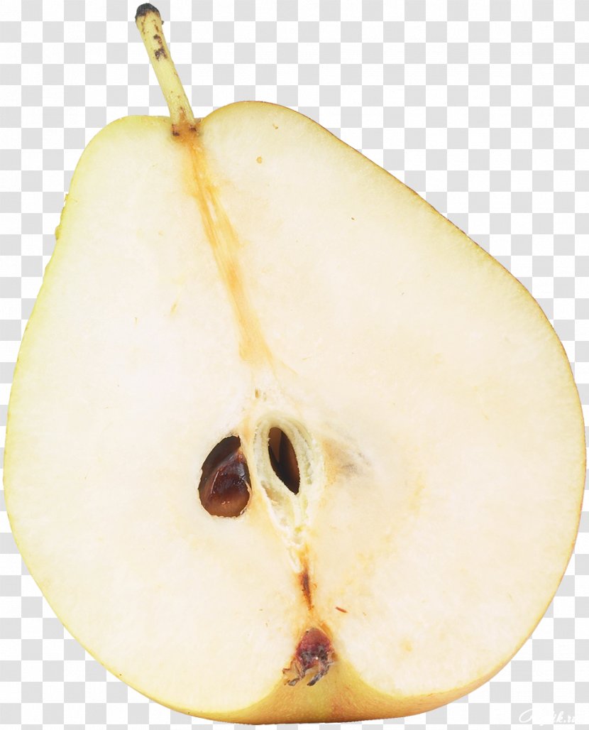 Birnen, Bohnen Und Speck Seed Williams Pear Fruit Transparent PNG