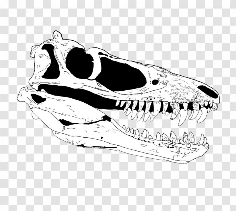 Tyrannosaurus Paleoart Skull Reptile - Dinosaur Transparent PNG