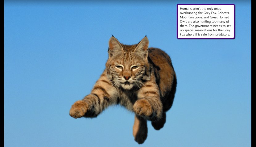 Bobcat United States Felidae Kitten - Cat - Lynx Transparent PNG