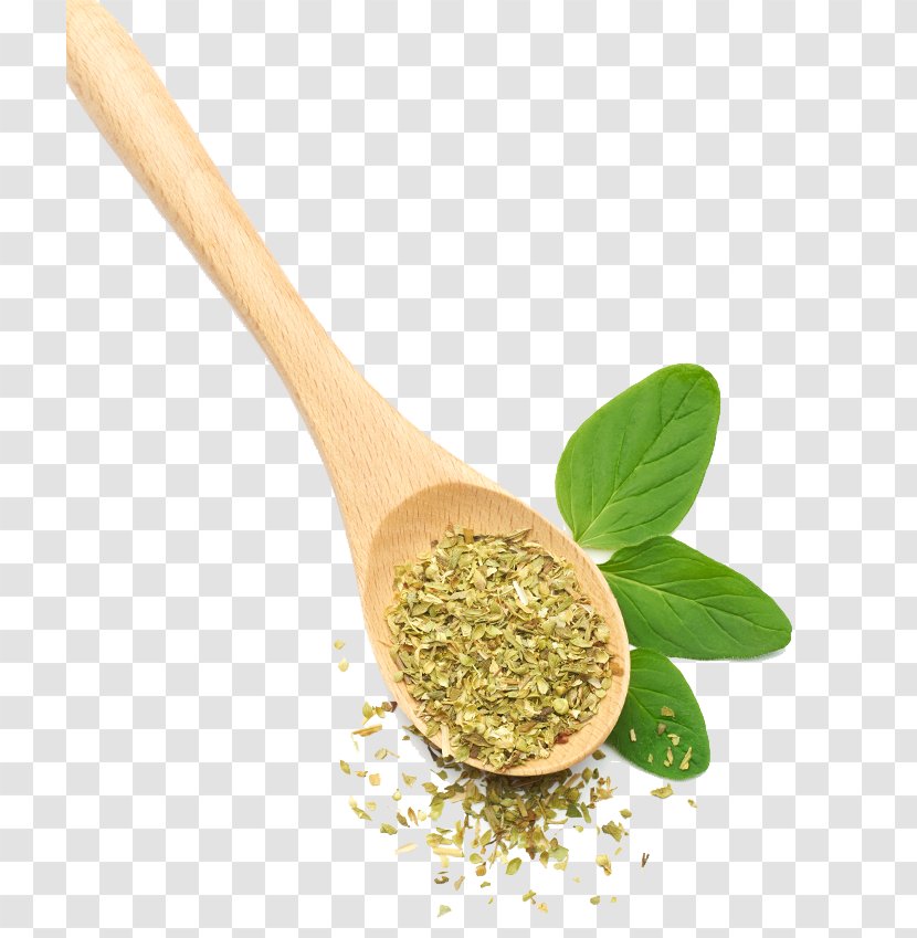 Herbalism Seasoning Spoon Commodity - Suncream Transparent PNG