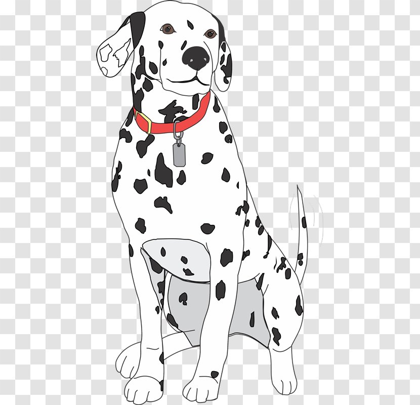 Dalmatian Dog Puppy Breed Non-sporting Group Book - Headgear - MASCOTAS Transparent PNG