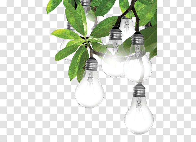Power Electricity Industry Public Utility Business - Solar - Light Bulb On The Leaves Transparent PNG