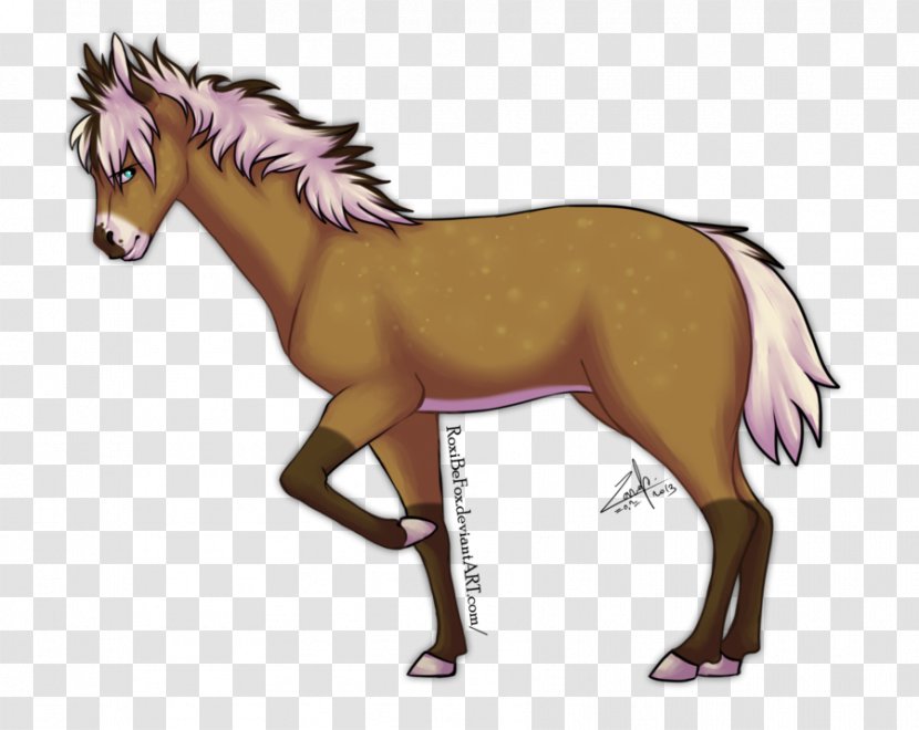 Foal Pony Horse Stallion Drawing - Tail - Mother Children Transparent PNG