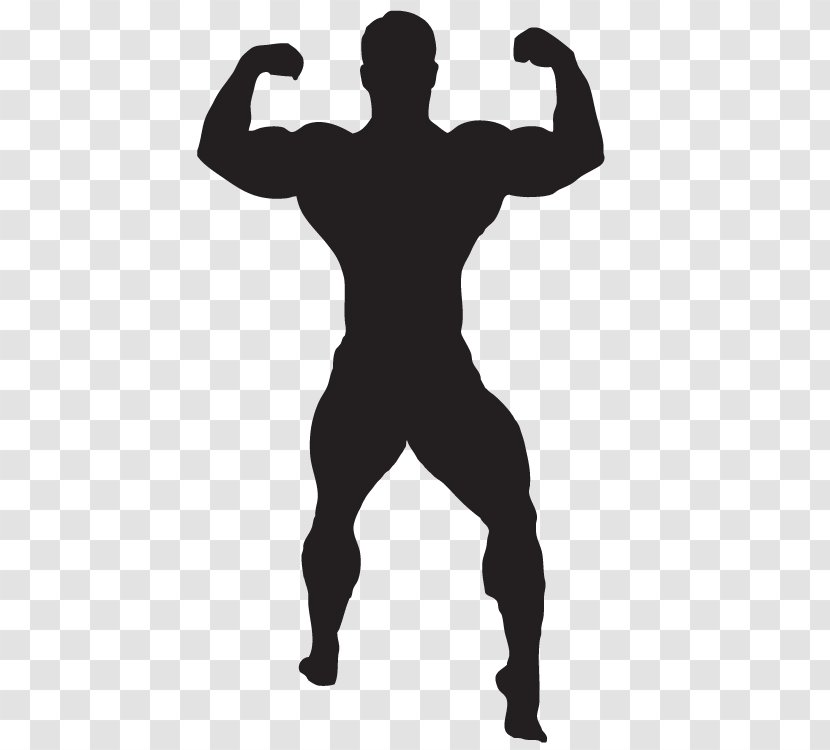 Clip Art Bodybuilding Exercise - Weight Training Transparent PNG