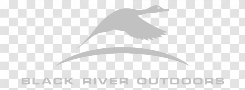 Beak Goose Water Bird Cygnini Duck - Hunting Supplies Transparent PNG