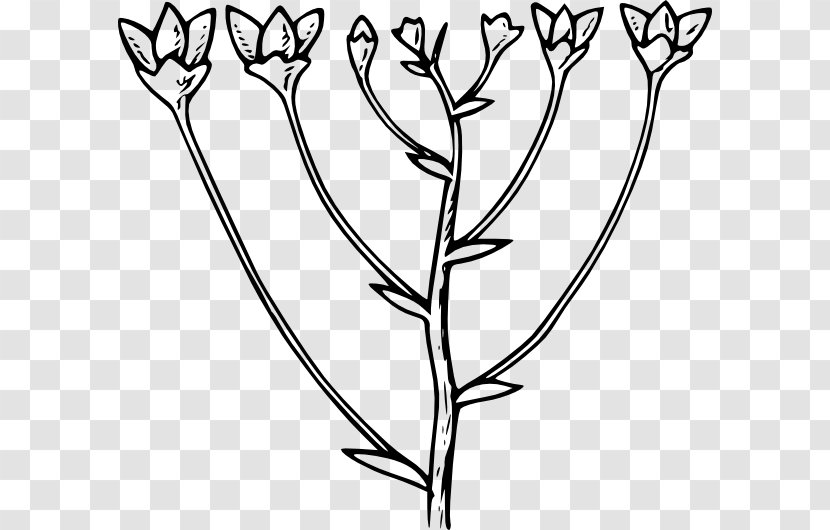 Clip Art - Branch - Stereoscopic Flower Transparent PNG