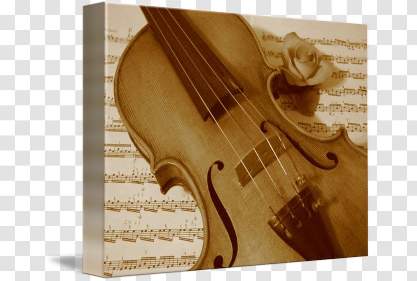 Violin Musical Instruments String Cello - Varnish - Rose Leslie Transparent PNG