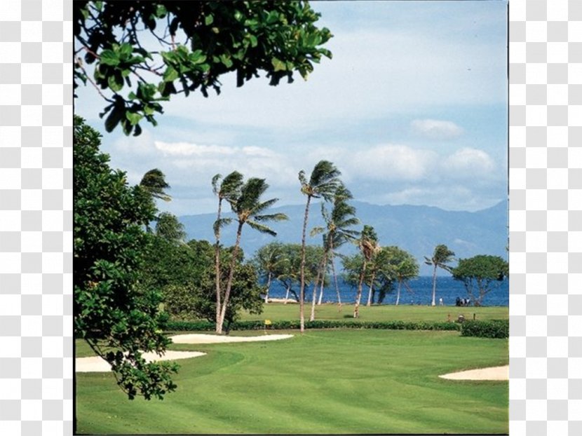 Hyatt Regency Maui Resort And Spa Kaanapali Hotel - Vacation Transparent PNG