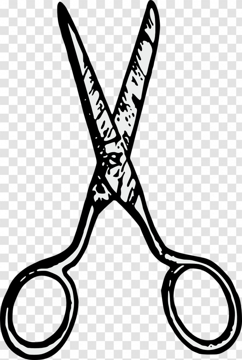 Scissors Cutting - Thread - Scissor Transparent PNG