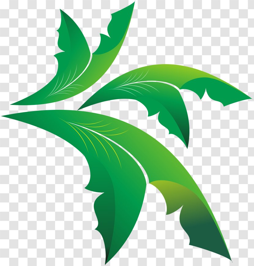 Leaf Olive Euclidean Vector - Green Transparent PNG